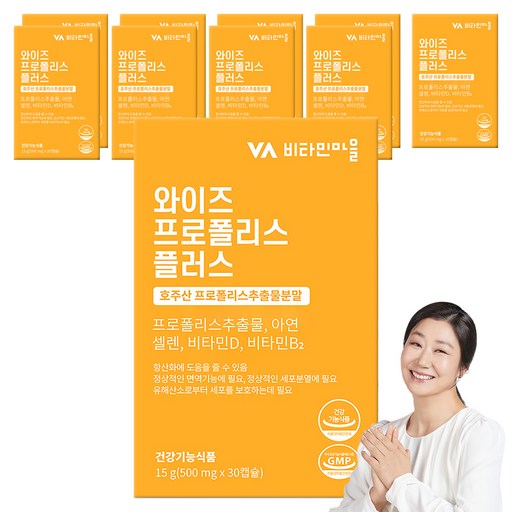 비타민마을 와이즈 프로폴리스 플러스