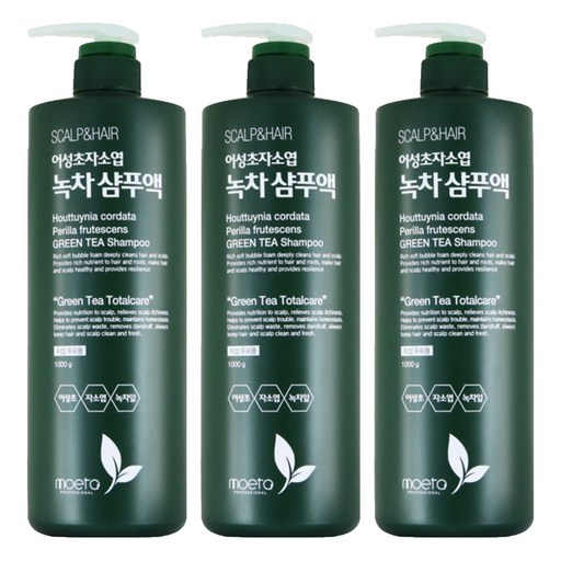 모에타 어성초 자소엽 녹차 샴푸액 지성 두피용