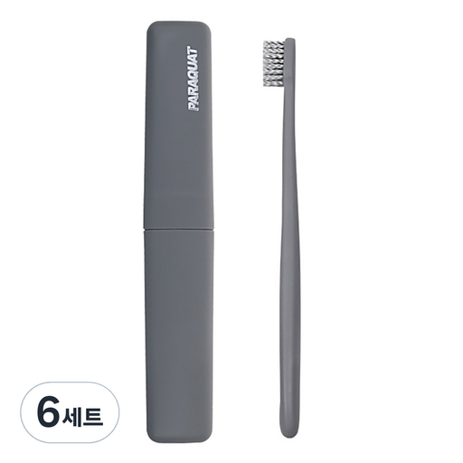 DM 알럽홈 삼각 케이스 칫솔 세트 차콜