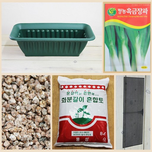행복한세상 텃밭가꾸기 중 흑금장파