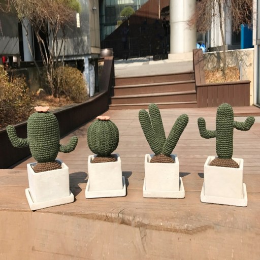 아이한코 DIY 생생 선인장 4종 세트