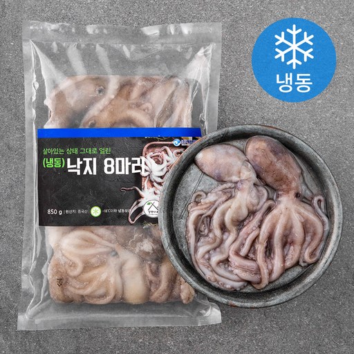 살맛나요 살아있는 상태 그대로 얼린 낙지 8미 (냉동)