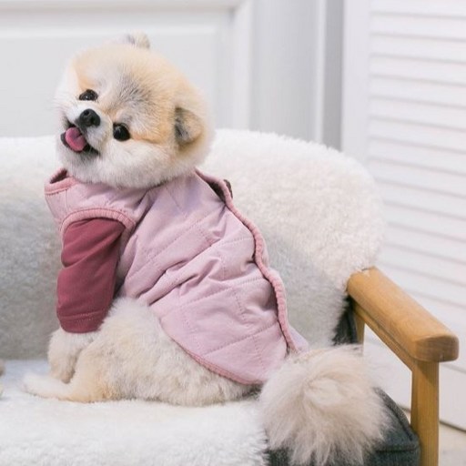 에이미러브즈펫 반려동물 곰브로치 누빔 조끼