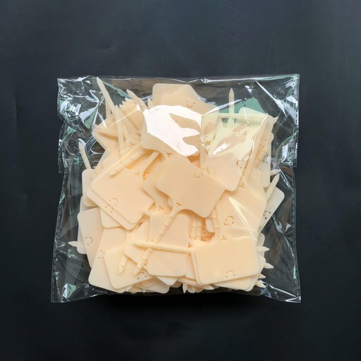 화분 이름표 100종 세트
