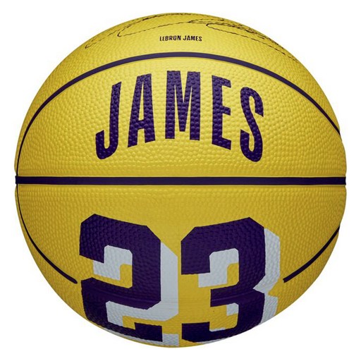 윌슨 NBA PLAYER ICON 미니 농구공 JAMES WZ4027701XB3