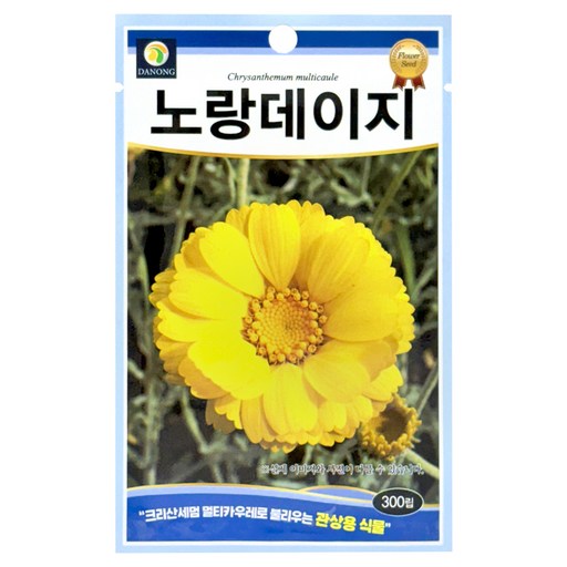 다농 데이지 씨앗 300p