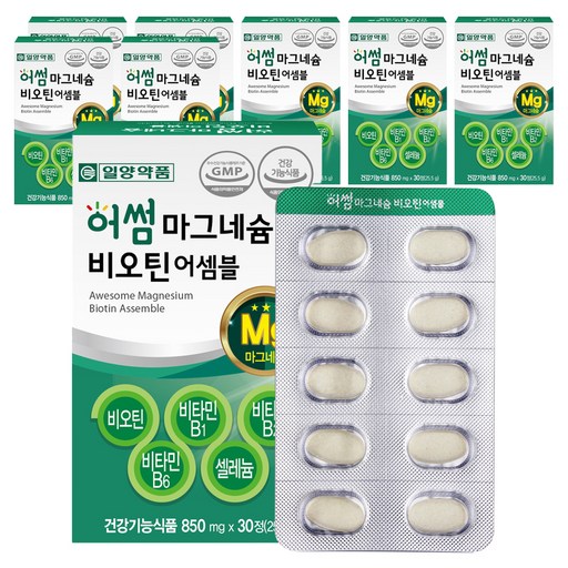 일양약품 마그네슘 비오틴 비타민B 영양제 25.5g