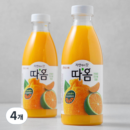따옴 천혜향 한라봉 청귤 주스