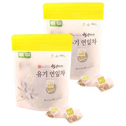 백년지기 유기 연잎차 티백