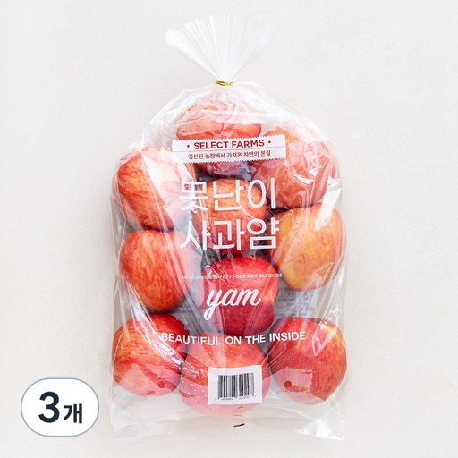 셀렉트팜 못난이 사과얌 yam