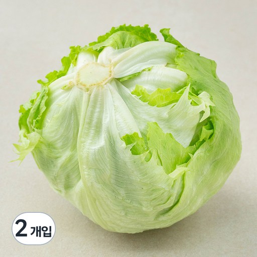 친환경 양상추