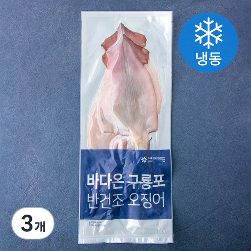 바다온 포항시 인증 구룡포건조 원양산 반건 오징어 3미 (냉동)
