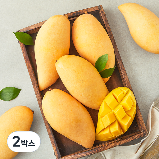 이웃마을 태국산 남독마이 망고