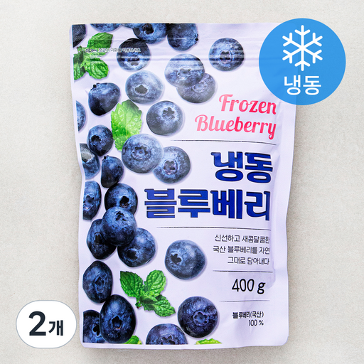블루베리 (냉동)