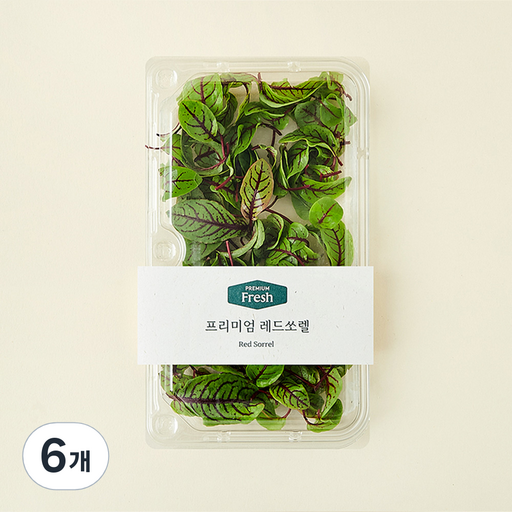 프리미엄 레드쏘렐