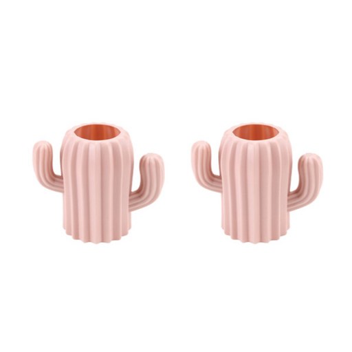 마크하스 모던 꽃병 선인장