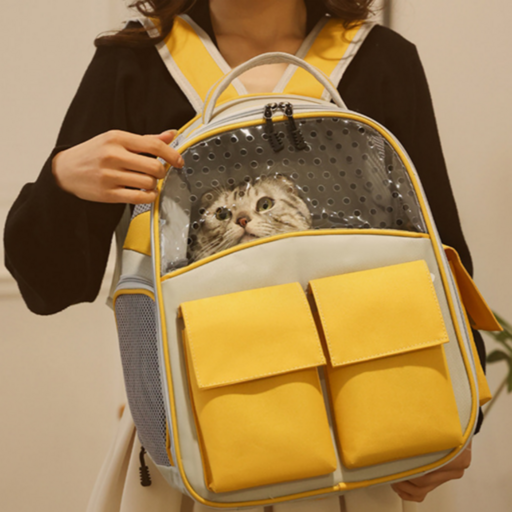 데이모던 고양이 데이데이가방