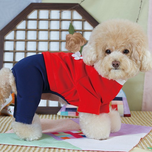 에이미러브즈펫 강아지 청담한복 남아