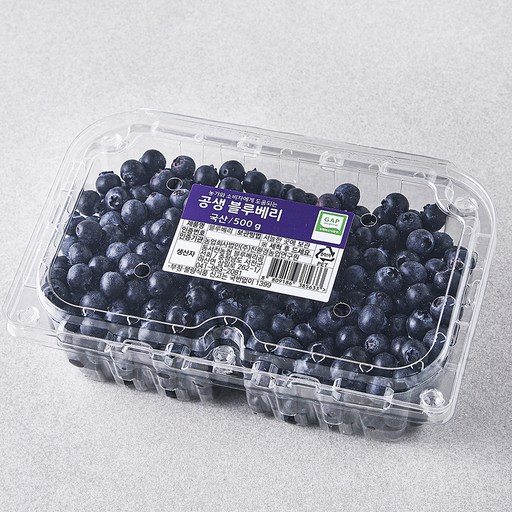 GAP 인증 공생 블루베리