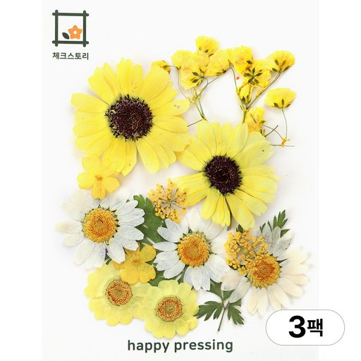체크스토리 압화 컬러가든시리즈 누름꽃 꽃송이 압화재료 공예