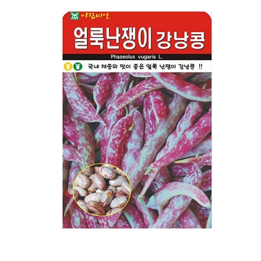 얼룩난쟁이 강낭콩