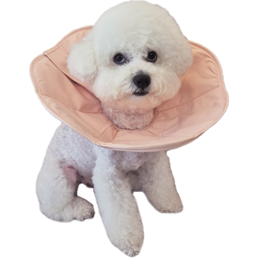커들스피어 강아지 넥카라 반려동물 고양이 초경량 소프트 넥카라