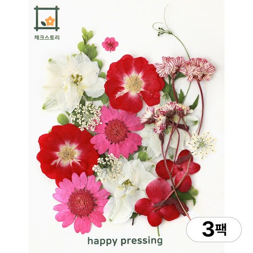 체크스토리 압화 컬러가든시리즈 누름꽃 꽃송이 압화재료 공예