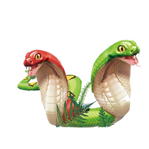 킹코브라 왕거미