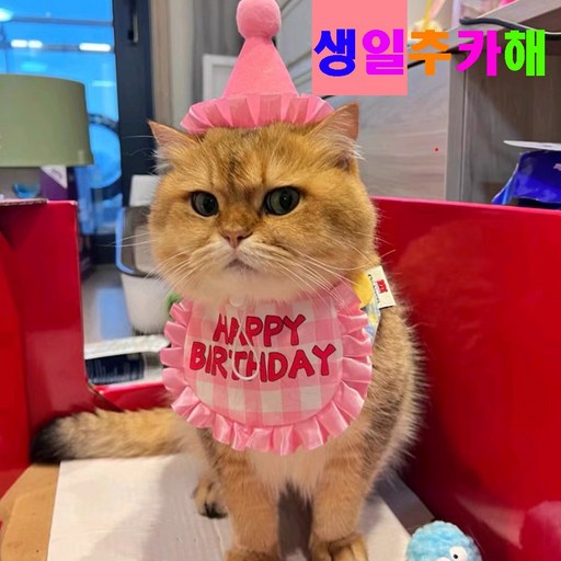 알파벳샵 강아지 고양이 생일 파티 고깔 숫자 세트 * 2개