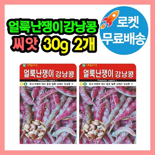 얼룩난쟁이 강낭콩 씨앗 (합 60g) 강낭콩씨 종자