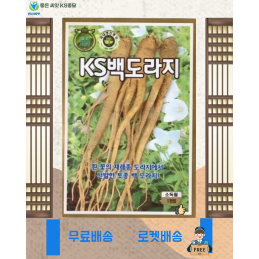 백도라지 씨앗(1000립) 도라지 씨앗 종묘 종자 영웅 KS