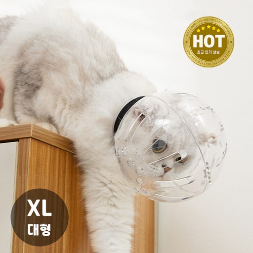 고양이 물림방지 우주 헬멧 투명 입마개 얼굴 덮개 커버
