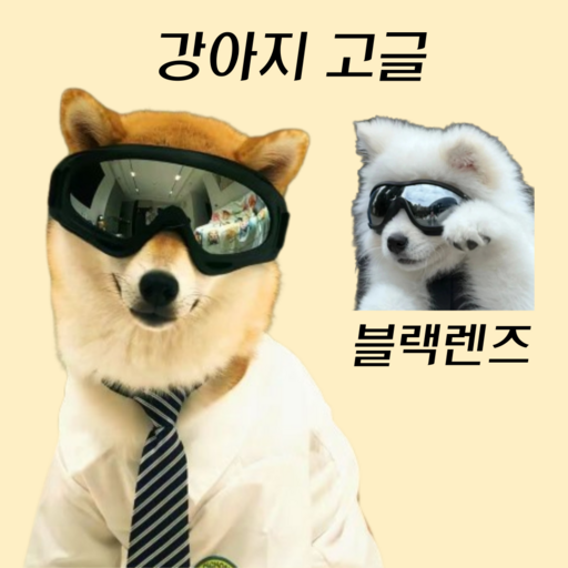 로엔드 강아지 고글 선글라스