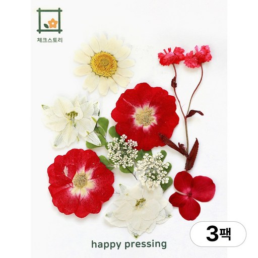 체크스토리 압화 컬러가든시리즈 누름꽃 꽃송이 압화재료 공예