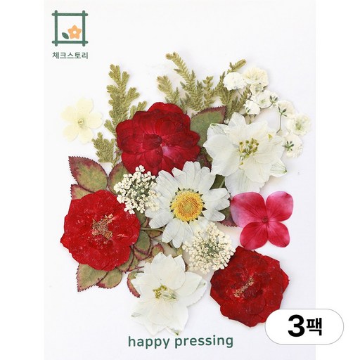 체크스토리 압화 컬러가든시리즈 누름꽃 꽃송이 압화재료 공예