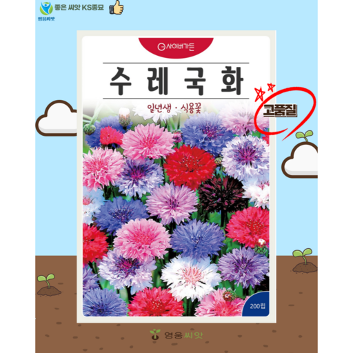 수레국화 혼합 씨앗(200립) 꽃씨 종묘 종자 씨 영웅 KS