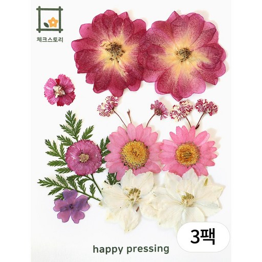 체크스토리 압화 미니컬러믹스 방과후수업 자연물놀이 꽃송이