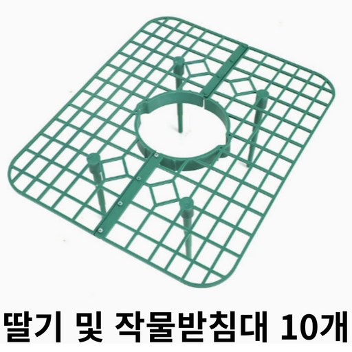 도토링 딸기 및 작물받침대 (녹색)