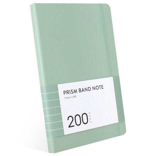 인디고 프리즘 200 밴드노트 라인