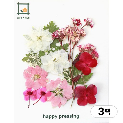 체크스토리 압화 컬러가든시리즈 누름꽃 꽃송이 압화재료 공예