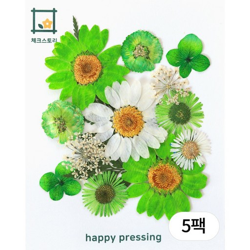 체크스토리 압화 레인보우압화 종합팩 조화 꽃송이 압화공예재료 수업재료 방과후수업 자연물놀이
