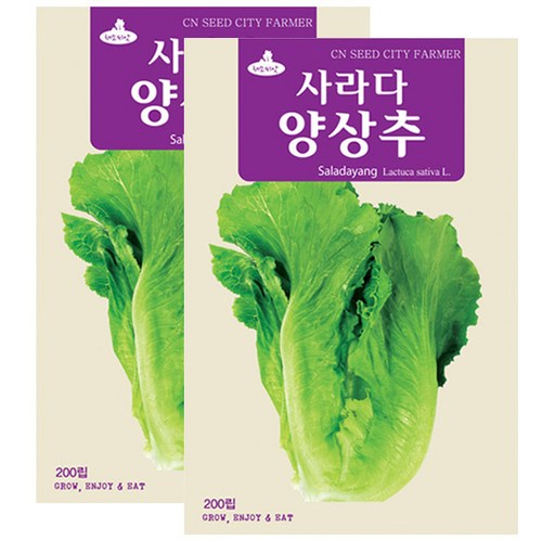 세인화분 사라다 양상추 200립 - 쌈채소 씨 씨앗