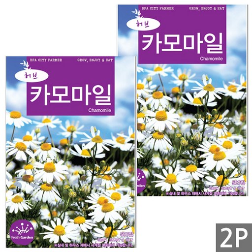 세인화분 카모마일 500립 - 허브씨앗