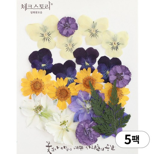 체크스토리 압화 누름꽃 꽃송이 압화공예 종합팩