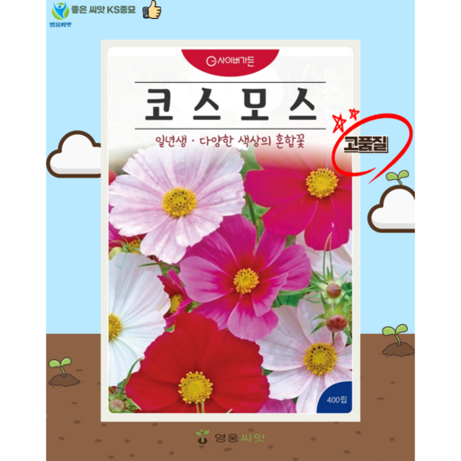 코스모스 혼합 씨앗(400립) 꽃씨 종묘 종자 씨 영웅 KS