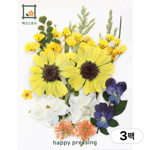 체크스토리 압화 컬러가든시리즈 누름꽃 꽃송이 압화재료 공예