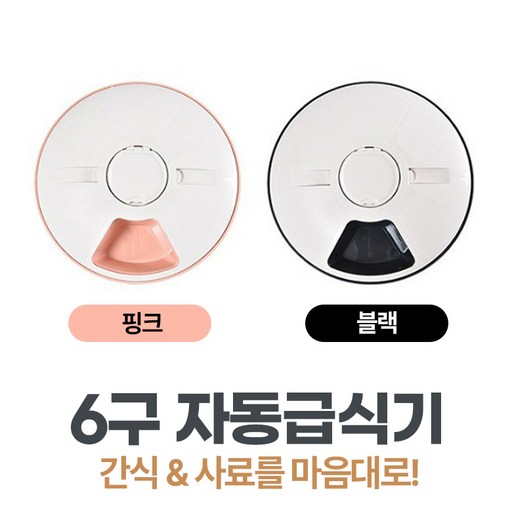 본부티크 반려동물 자동급식기 스마트 6구 강아지 고양이 겸용