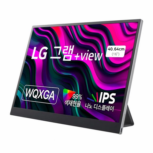 LG전자 WQXGA 그램뷰 +View 모니터