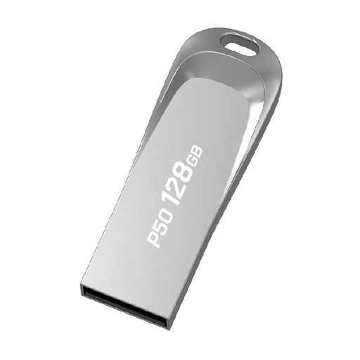 PLEIGO USB 메모리 P50