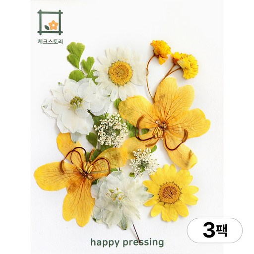 체크스토리 압화 컬러가든시리즈 누름꽃 꽃송이 압화재료 공예